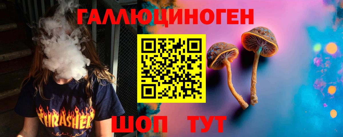 Рославль  Псилоцибиновые грибы Psilocybine cubensis  Псилоцибиновые грибы Cubensis  Вход с VPN 